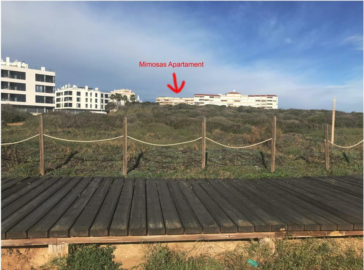 Mimosa Apartment Guardamar del Segura Ngoại thất bức ảnh